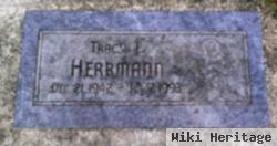 Tracy L Herrmann