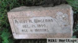 Albert H Wageman