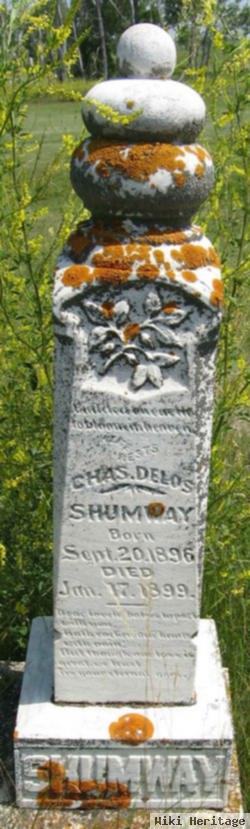 Charles Delos Shumway