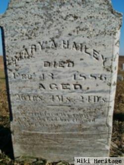 Mary A. Haily