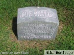 Joe Waldo Mangrum