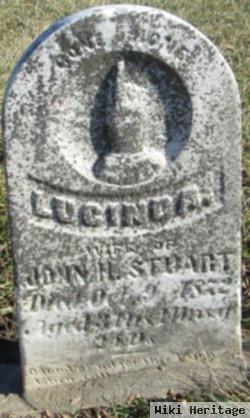 Lucinda Stuart