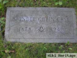 Shindel Gobin Case
