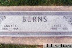 James H Burns