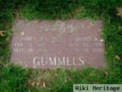 Janet A. Piskulic Gummels