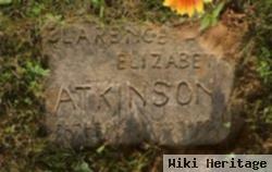 Elizabeth Nelson Atkinson