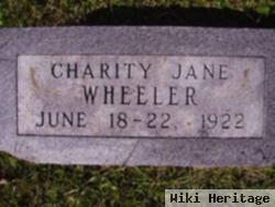 Charity Jane Wheeler