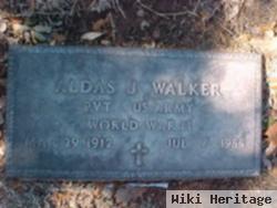 Aldas Joy Walker