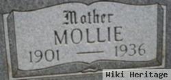 Mary Elizabeth "mollie" Jolliff Vinyard