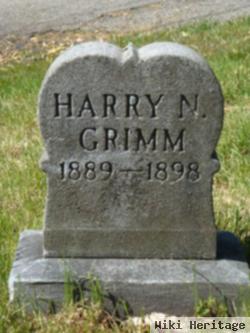 Harry Noah Grimm