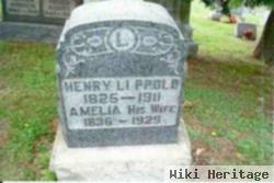 Amelia Grall Lippold