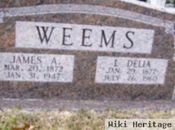 L. Delia Knight Weems