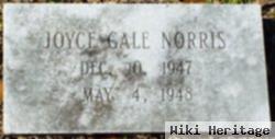 Joyce Gale Norris