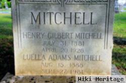 Henry Gilbert Mitchell