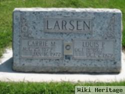 Carrie M Larsen