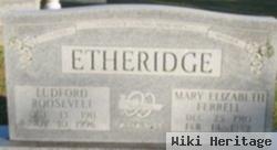 Mary Elizabeth Ferrell Etheridge