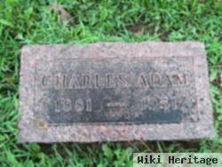 Charles Adam Cook