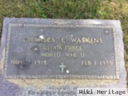 Charles E. Watkins