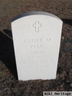 Audre M Pfau