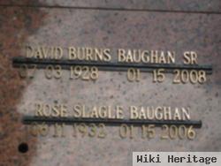 David Burns Baughan, Sr