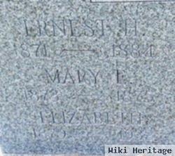 Mary E Hazzard