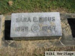 Sara E. Dicus