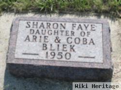 Sharon Faye Bliek