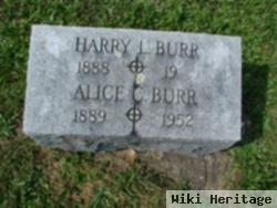 Alice Coolbaugh Burr