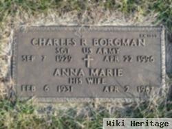 Charles R Borgman