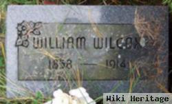 William Wilcox