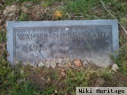 Walter S Hildebrant