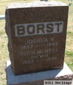 Joshua W Borst