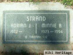 Adrian J Strand