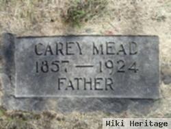 Carey Mead Hopkins