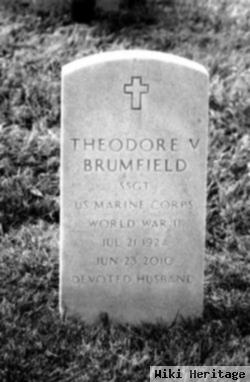 Theodore V. Brumfield