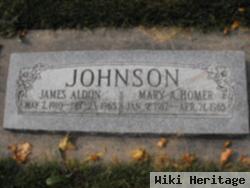 James Aldon Johnson