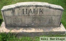 Henry Hauk