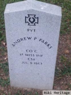 Andrew P Parks