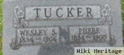 Phebe Hutson Tucker