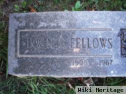 Irwin S Fellows