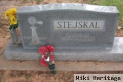 Albert L Stejskal