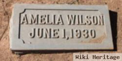 Amelia Mercer Wilson