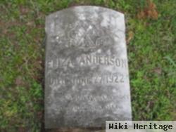 Eliza Turner Anderson