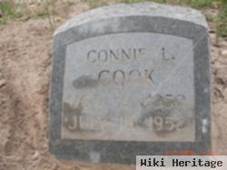 Connie L Cook