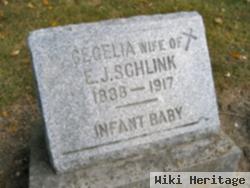 Infant Schlink