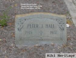 Peter J Hall