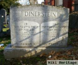 Edward Dinerstein