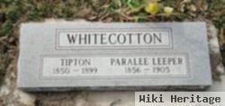 Tipton M Whitecotton