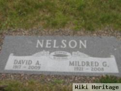 David A. Nelson