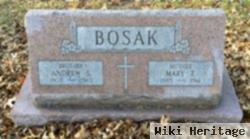 Mary T. Bosak